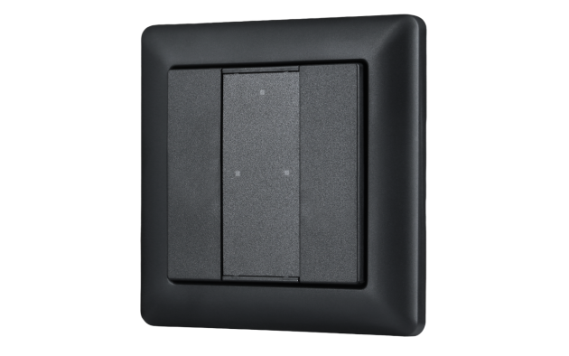 Модель A DALI-2 Switch - 2 кнопки, черный пластик
