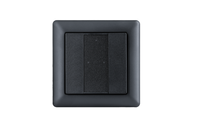 Модель A DALI-2 Switch - 2 кнопки, черный пластик